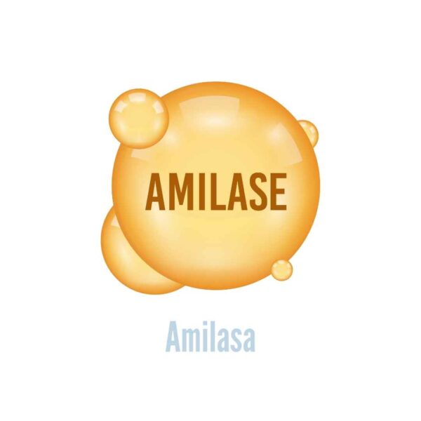 Amilasa en suero y otros fluidos