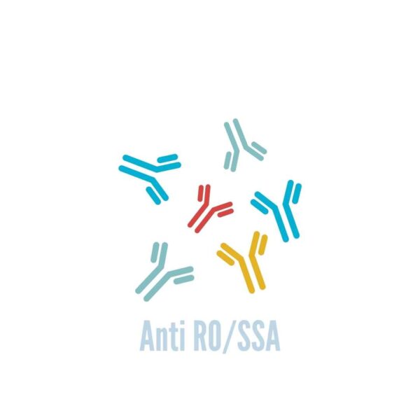 laboratorio bysaa