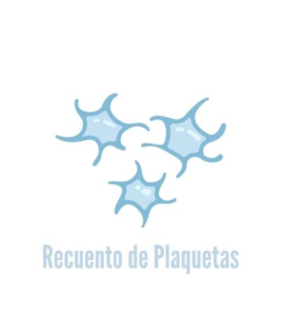 bysaa laboratorio