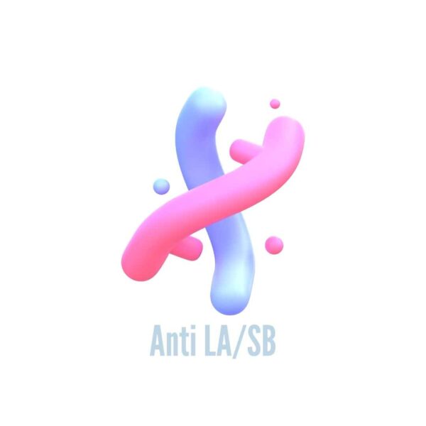 bysaa laboratorio