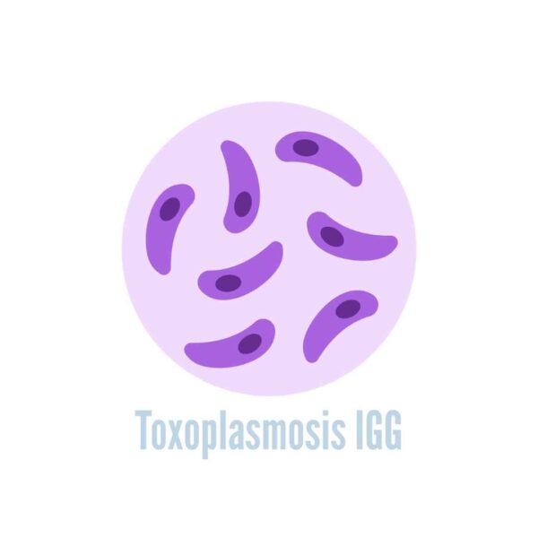 Toxoplasma gondii, anticuerpos IgG